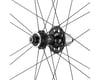 Image 2 for Campagnolo Shamal Carbon Disc Brake Rear Wheel (Black) (Campagnolo N3W) (12 x 142mm) (700c / 622 ISO)