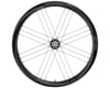 Image 3 for Campagnolo Shamal Carbon Disc Brake Rear Wheel (Black) (Campagnolo N3W) (12 x 142mm) (700c / 622 ISO)