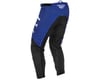 Image 2 for Fly Racing F-16 Pants (Blue/Grey/Black) (34)