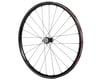 Image 1 for Fulcrum Rapid Red 3 Rear Wheel (Black) (Campagnolo N3W) (12 x 142mm) (700c / 622 ISO)