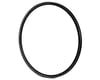 Image 1 for HED Belgium R Disc Brake Rim (Black) (32H) (Presta) (700c / 622 ISO)