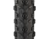 Image 2 for Maxxis Ardent Tubeless Mountain Tire (Black) (Folding) (26" / 559 ISO) (2.25") (Dual/EXO)