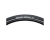 Image 3 for Michelin Protek Tire (Black) (26" / 559 ISO) (1.4")
