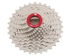 Image 1 for Prestacycle UniBlock Cassette (Silver) (12 Speed) (Campagnolo) (11-32T)