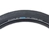 Image 3 for Schwalbe Fat Frank Urban Cruiser Tire (Black/Reflex) (29" / 622 ISO) (2.0")
