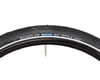 Image 3 for Schwalbe Big Apple Kevlar Guard Tire (Black) (700c / 622 ISO) (50mm)