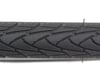 Image 3 for Schwalbe Marathon Plus Tire (Black) (700c / 622 ISO) (32mm)