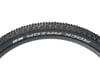 Image 1 for Schwalbe Rock Razor HS452 Tubeless Mountain Tire (Black) (29" / 622 ISO) (2.35")