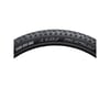Image 3 for Schwalbe Racing Ray HS489 Tubeless Mountain Tire (Black) (29" / 622 ISO) (2.25")