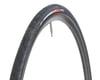 Image 1 for Specialized All Condition Armadillo Elite Tire (Black) (700c / 622 ISO) (25mm)