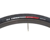 Image 3 for Specialized All Condition Armadillo Elite Tire (Black) (700c / 622 ISO) (25mm)
