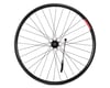 Image 2 for Sta-Tru Quick Release Double Wall Rear Wheel (Black) (Freewheel) (QR x 135mm) (26" / 559 ISO)
