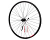 Image 1 for Sta-Tru Quick Release Single Wall Rear Wheel (Black) (Freewheel) (QR x 135mm) (700c / 622 ISO)