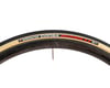 Image 3 for Vittoria Corsa Competition Road Tire (Para) (700c / 622 ISO) (25mm)