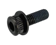 Shimano Flat-Mount Road Disc Caliper Fixing Bolts (Black) | product-related
