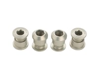 Wolf Tooth Components Dual Hex Fitting Chainring Bolts (Silver) (6mm)