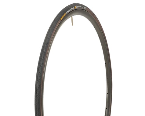 Continental Grand Prix 4-Season Tire (Black) (700c / 622 ISO) (23mm)
