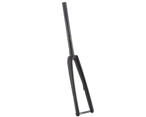 Enve Carbon Road Disc Fork (Black) (12 x 100mm) (50mm Offset)